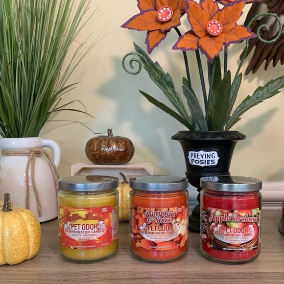 🍁 🍂 Fall Pet Odor Exterminator Candle Bundle 🏵 🏡 - Picture 2 of 5